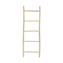 The Natural Ladder 165
