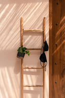 The Natural Ladder 165
