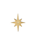 Star Backplate Polished Brass